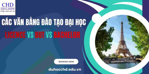 Phân biệt Licence vs BUT vs Bachelor các văn bằng đào tạo đại học phổ biến ở Pháp