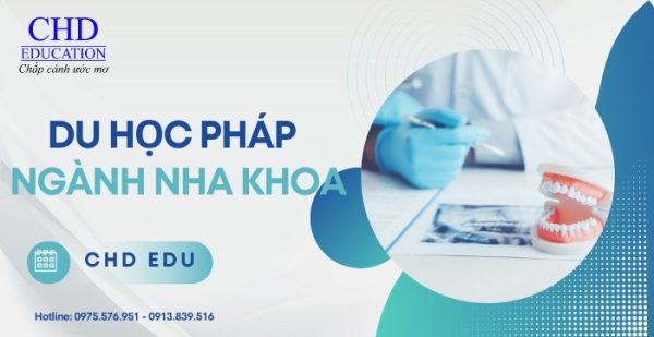 Du học ngành Nha khoa tại Pháp