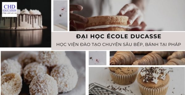 Tổng hợp thông tin từ A – Z về đại học École Ducasse: học viện đào tạo chuyên sâu bếp, bánh tại Pháp