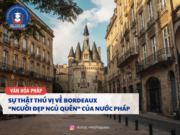 Sự thật thú vị về Bordeaux – người đẹp ngủ quên của nước Pháp