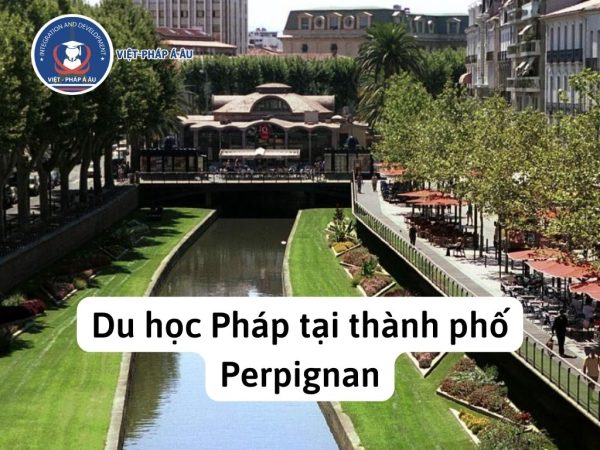 Dự bị tiếng tại Perpignan