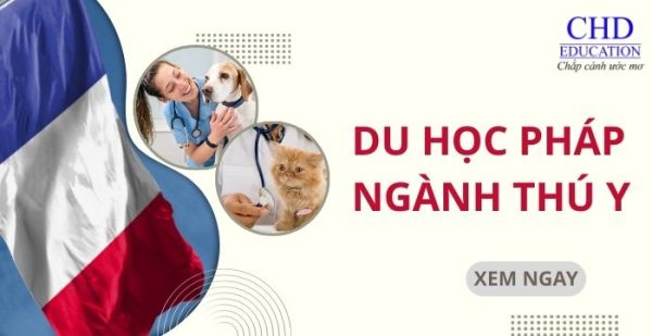 Du học Pháp ngành Thú y: Lộ trình, chi phí và cơ hội nghề nghiệp