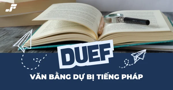DUEF là gì? Danh sách trường đại học cấp văn bằng DUEF tại Pháp